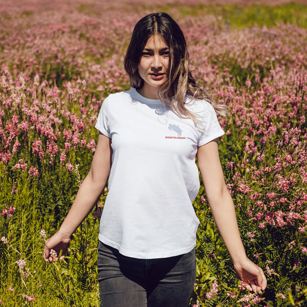 Quien quita un quite